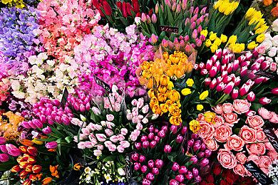 国产合作肉鸽FPS《枪火重生》10月加入XGP